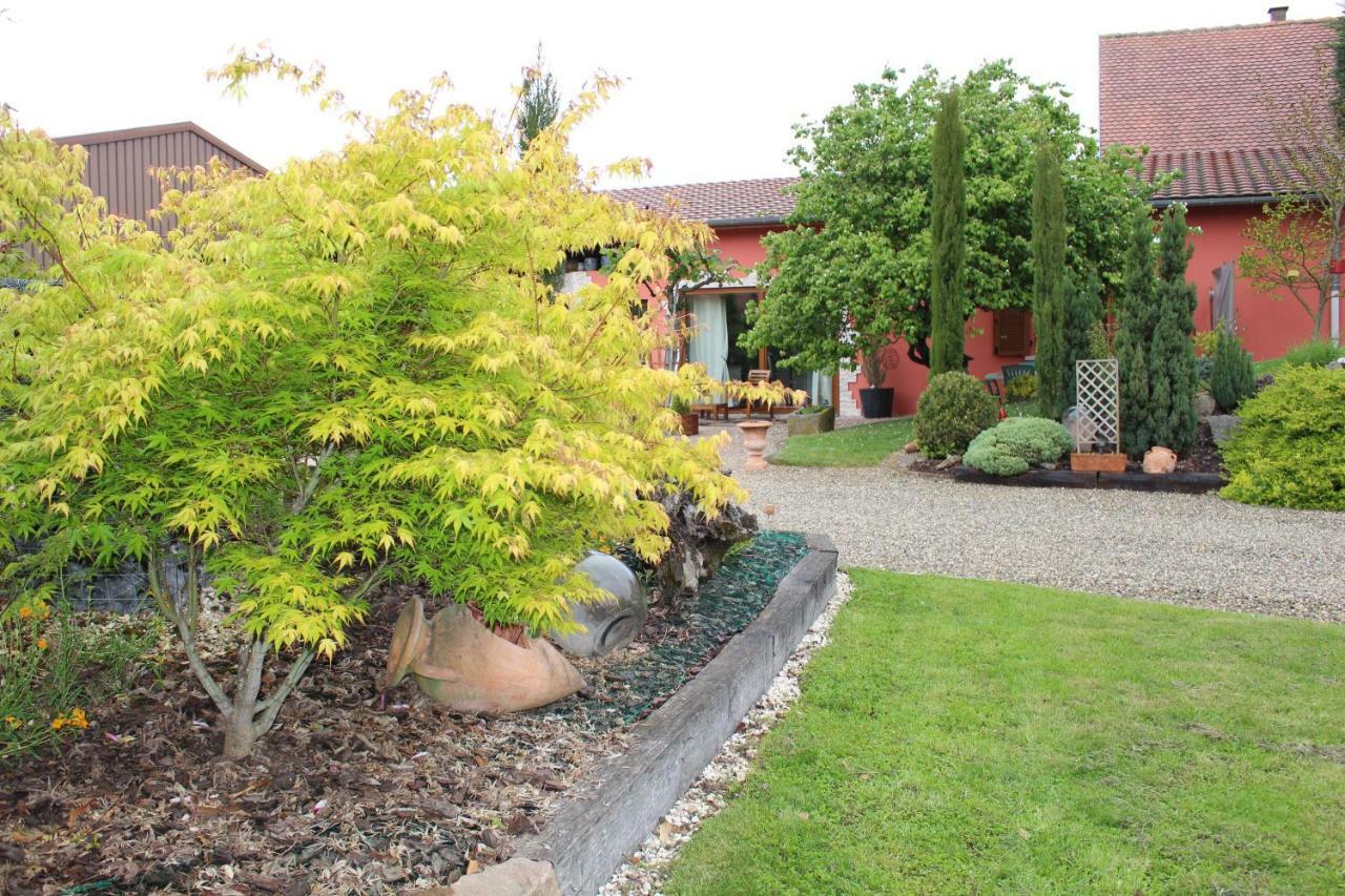 Gite Au Centre De L'Alsace Scherwiller Exterior photo